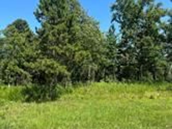 28 Autumn Ct , Dover, AR 72837