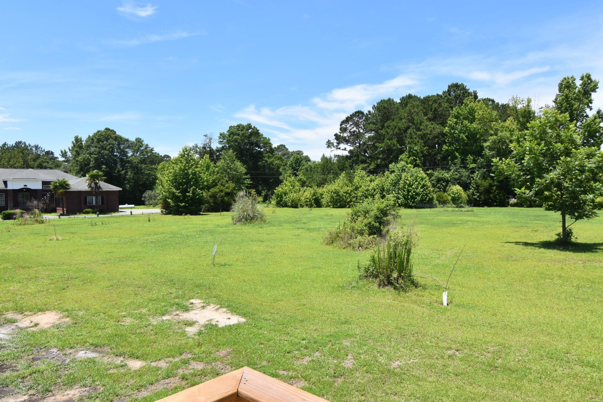 167 Davis Terrace Photo 22