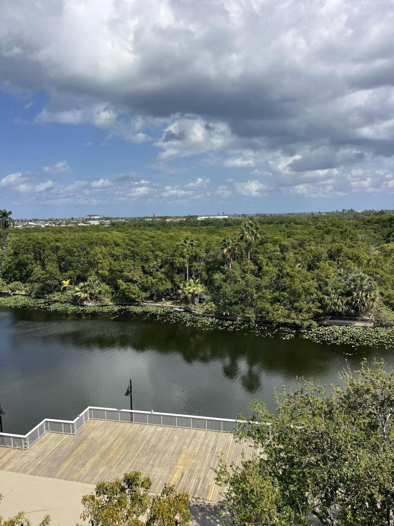 450 N Federal Highway, Unit 504, Boynton Beach, FL 33435 Photo