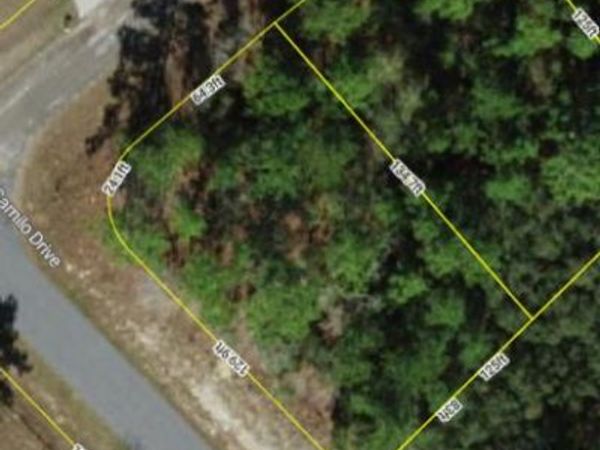 9239 N Marcus Way, Dunnellon, FL 34433