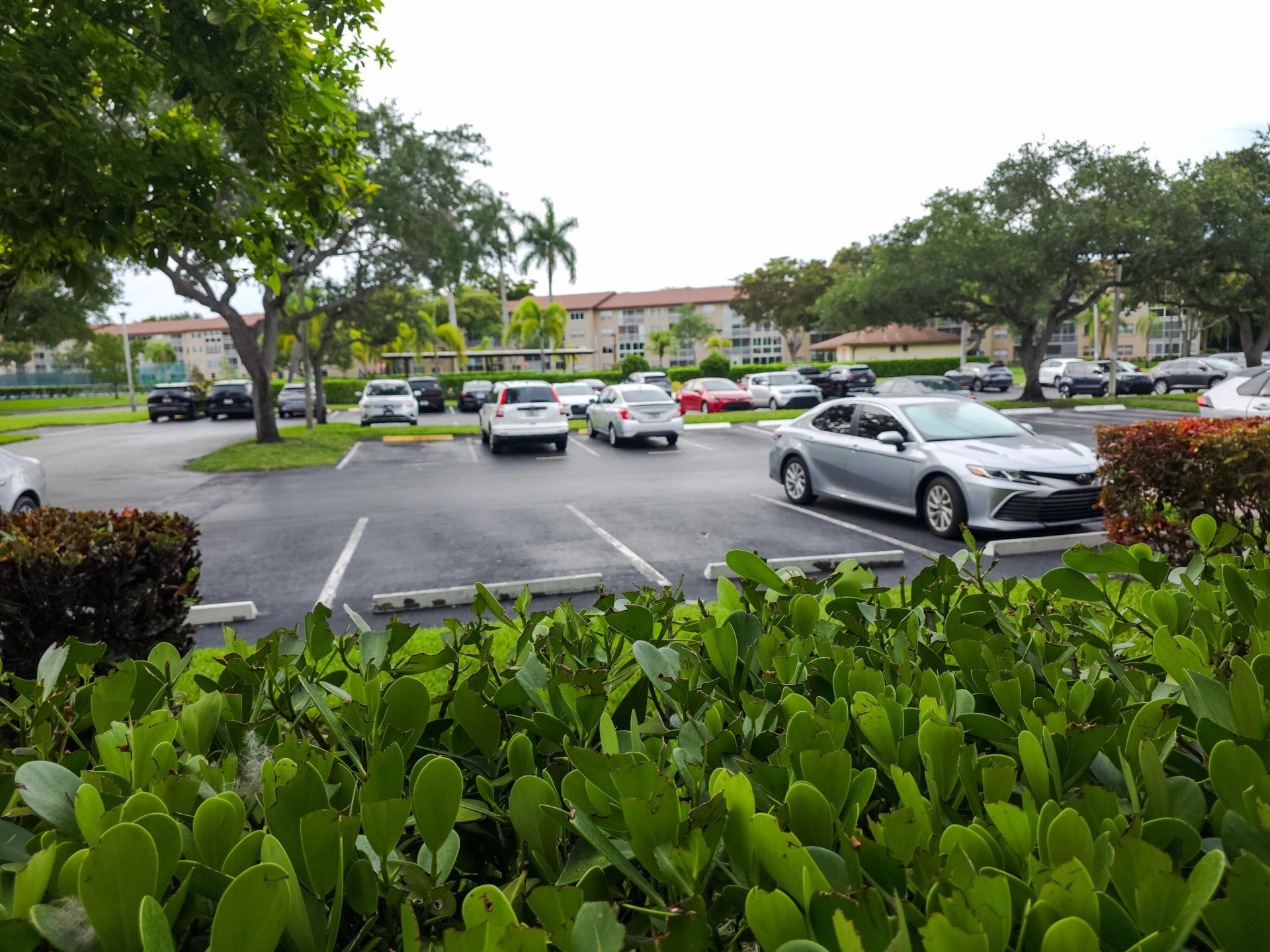 12800 SW 7th Court, Unit 115, Pembroke Pines, FL 33027 Photo