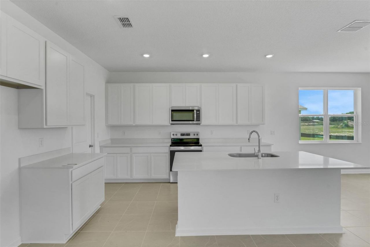1006 Swamp Chestnut Loop, Lady Lake, FL 32159 Photo
