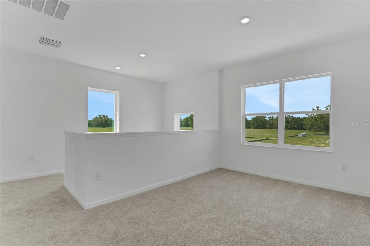 1006 Swamp Chestnut Loop, Lady Lake, FL 32159 Photo