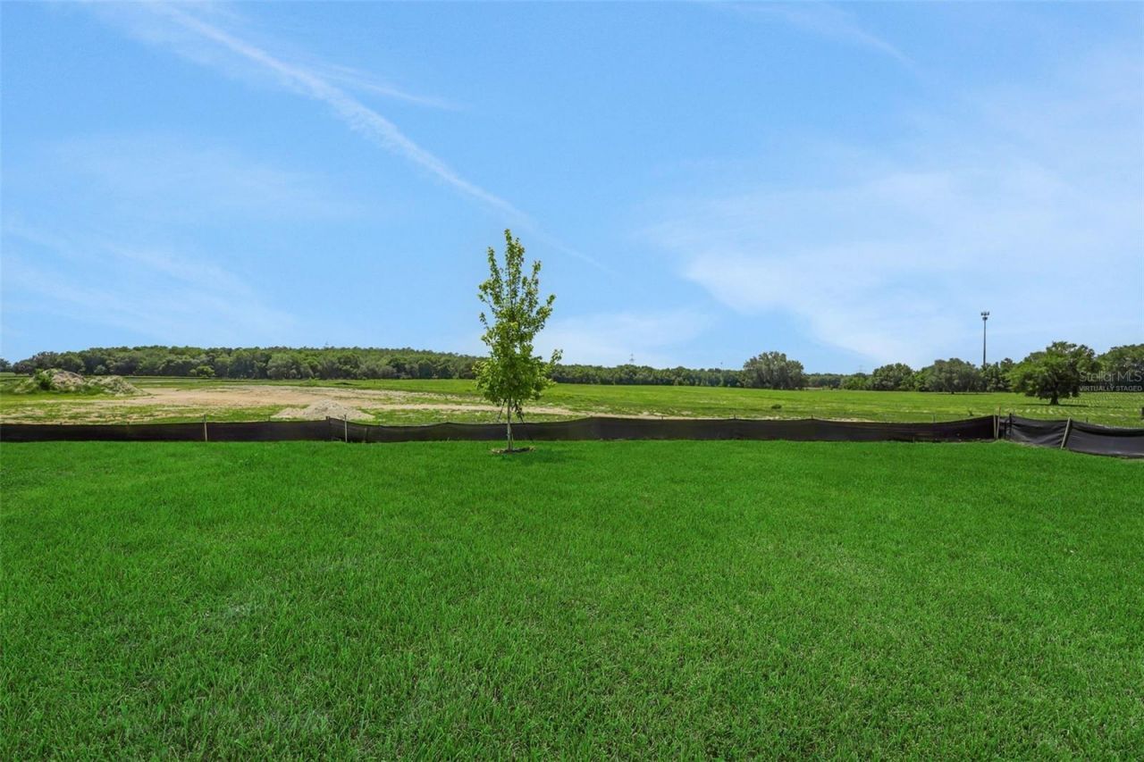 1006 Swamp Chestnut Loop, Lady Lake, FL 32159 Photo