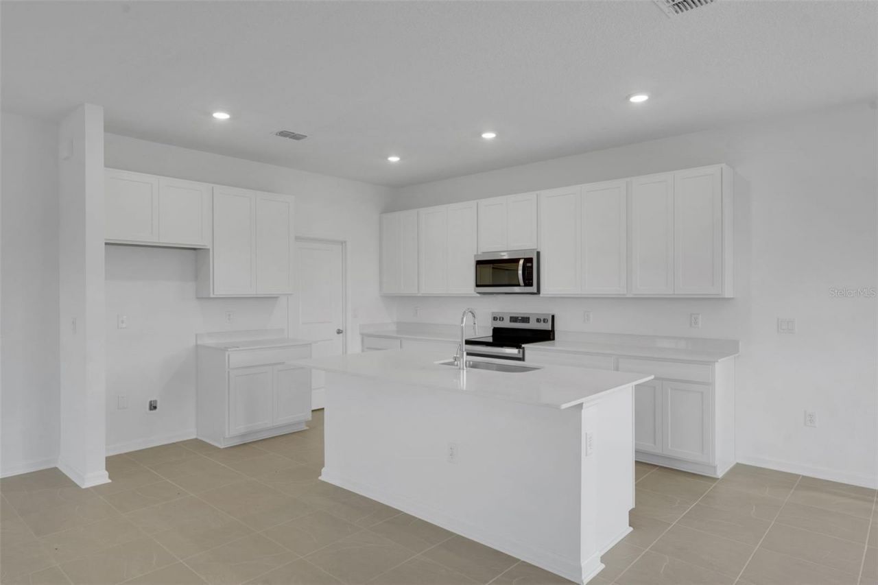 1006 Swamp Chestnut Loop, Lady Lake, FL 32159 Photo