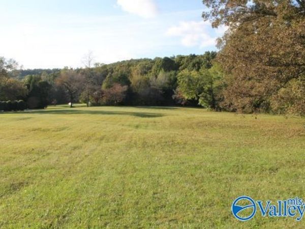 1.86 County Road 622, Valley Head, AL 35989