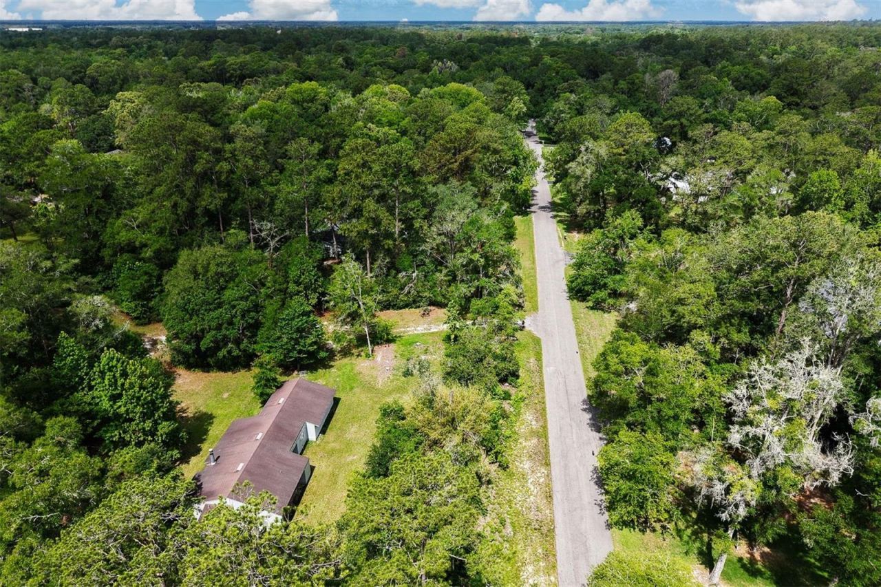 9603 SW 17th Avenue, Gainesville, FL 32607 Photo