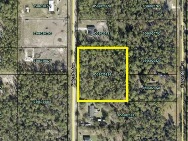 10270 Delgado Ave, Hastings, FL 32145