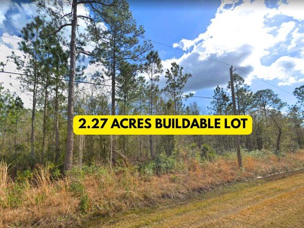 10270 DELGADO Avenue, Hastings, FL 32145