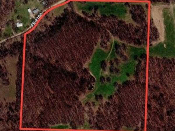 000 Farm Road 2160 , Rocky Comfort, MO 64861