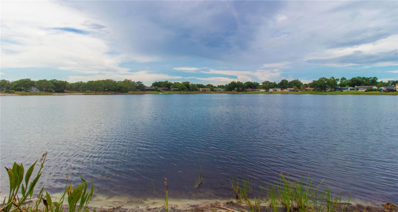 8514 Pajaro Court , Orlando, FL 32836 Photo