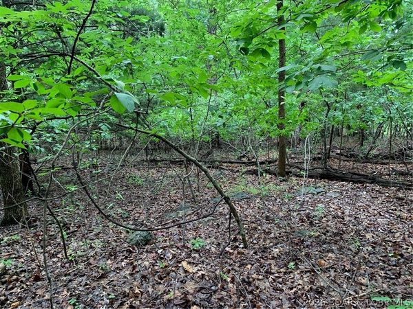 Lot 736 Linn Creek Road, Lake Ozark, MO 65049