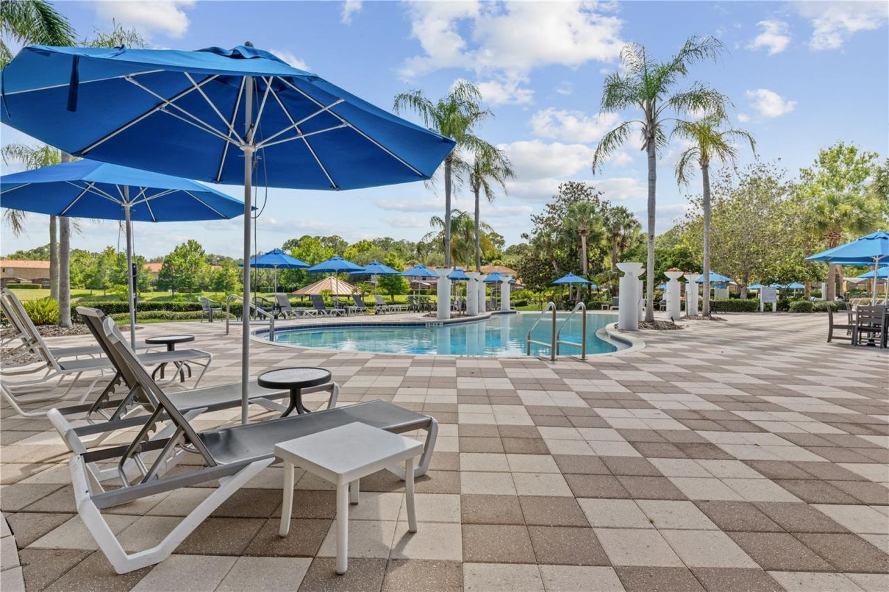 3003 Bird Of Paradise Lane , Kissimmee, FL 34747 Photo