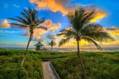 6500 NW 2nd Avenue, Unit 509, Boca Raton, FL 33487 Photo