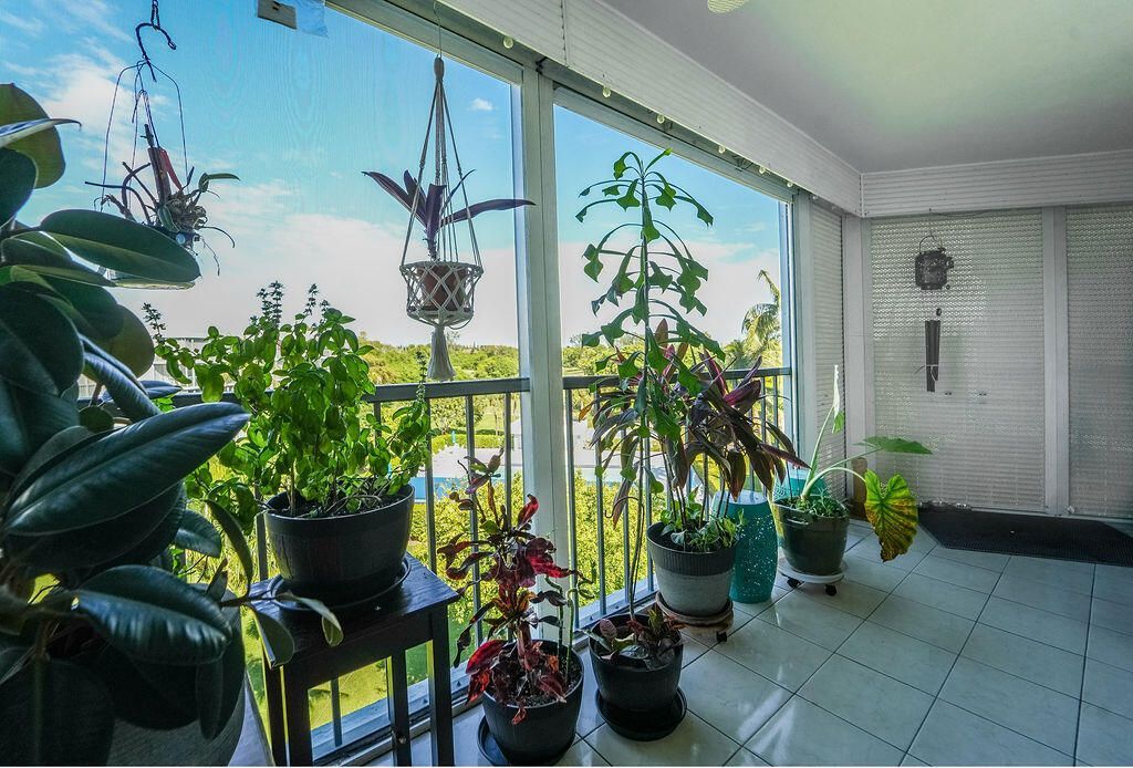 6500 NW 2nd Avenue, Unit 509, Boca Raton, FL 33487 Photo