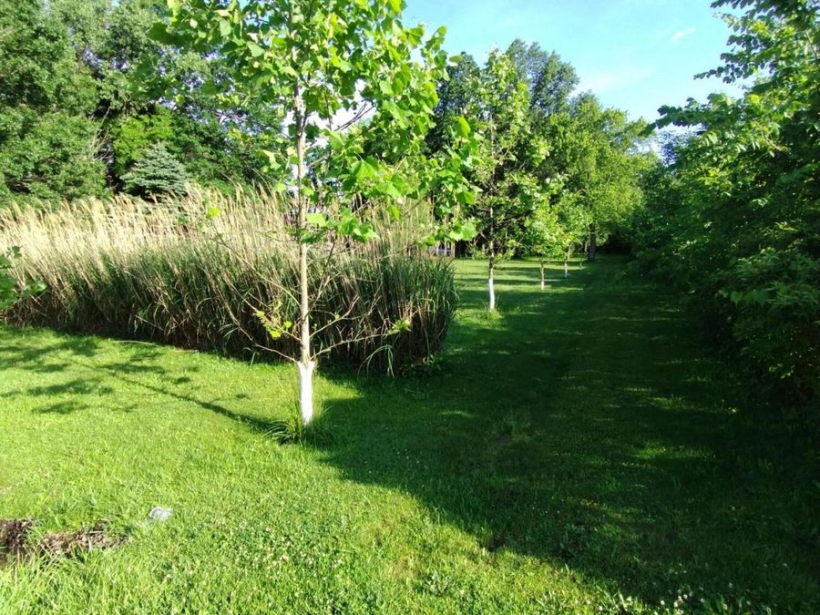 Property Image 49