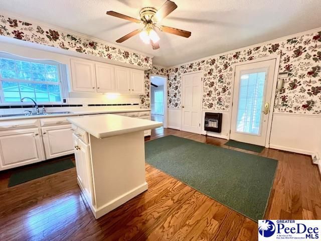 919 Locust Street Photo 5