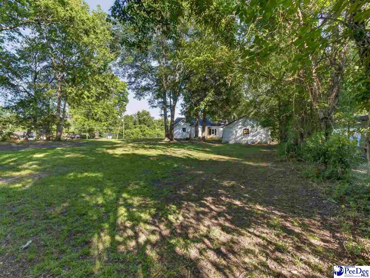 224 Godfrey Street Photo 30