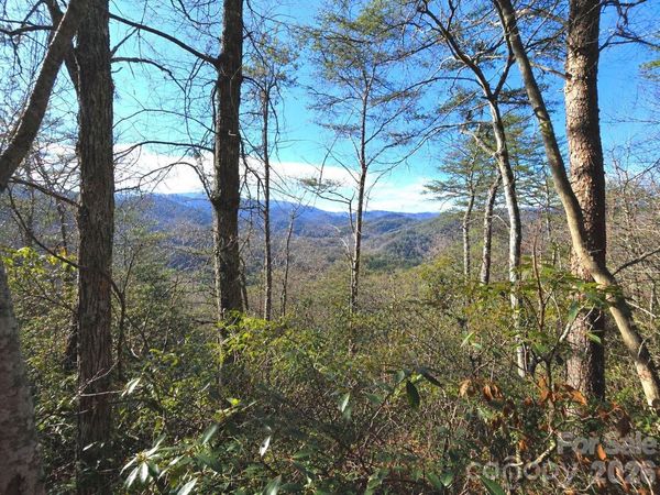 81 Lucerne Drive , Canton, NC 28716
