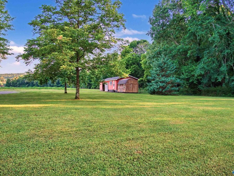 Property Image 45
