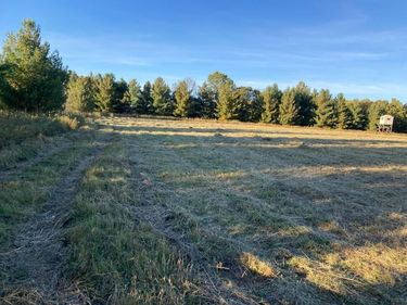 TBD Hummingbird Road , Braham, MN 55006