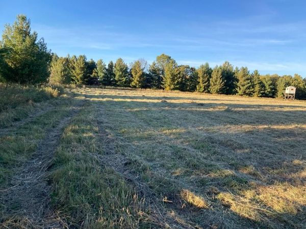 TBD Hummingbird Road , Braham, MN 55006