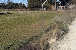 430 Nelson Ferry Road  photo 4