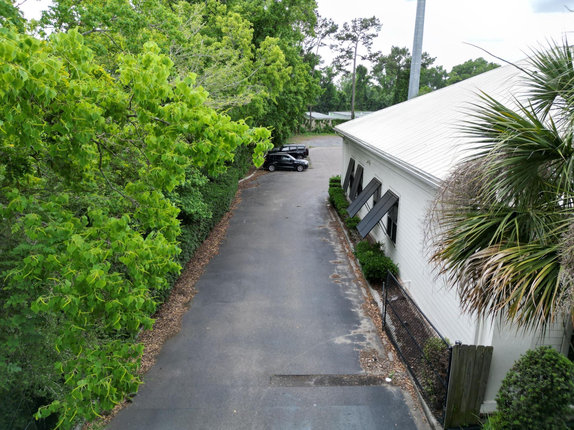 1525 Ashley River Road  Photo 28