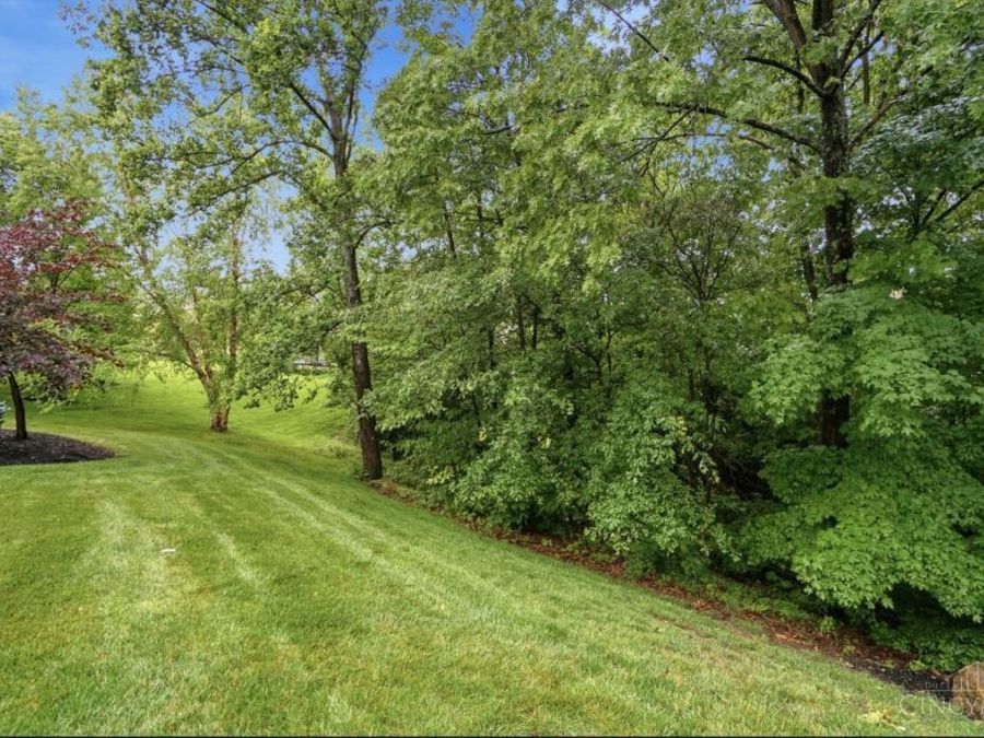Property Image 67