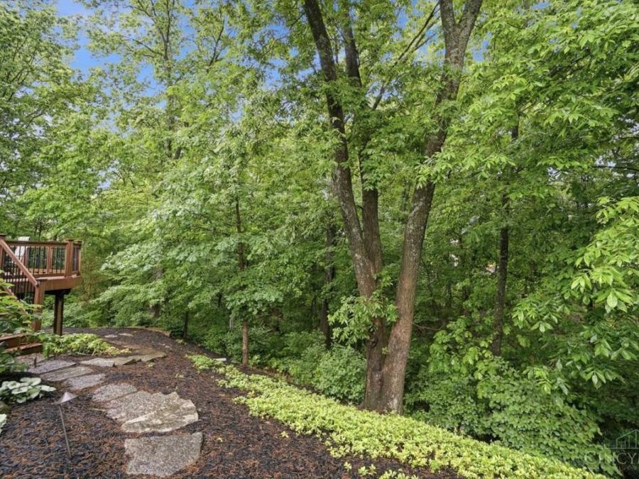 Property Image 69