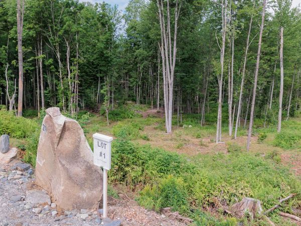 219 Weber Brook Lane, Unit 1, Craftsbury, VT 05826