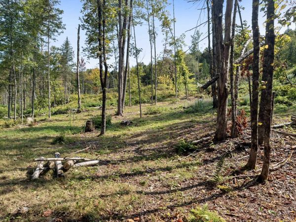 219 Weber Brook Lane, Unit 1, Craftsbury, VT 05826