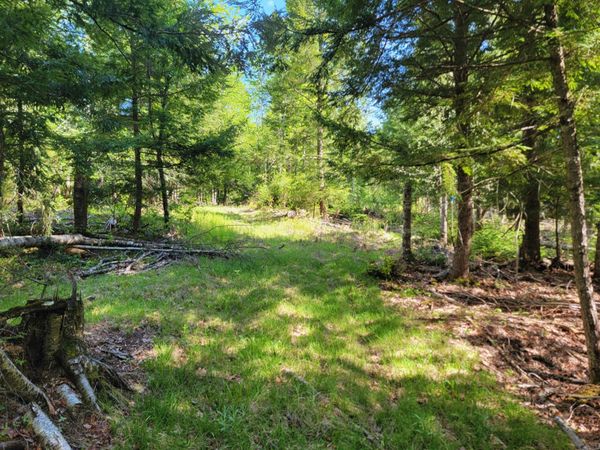 67 Bog Brook Road , China, ME 04358