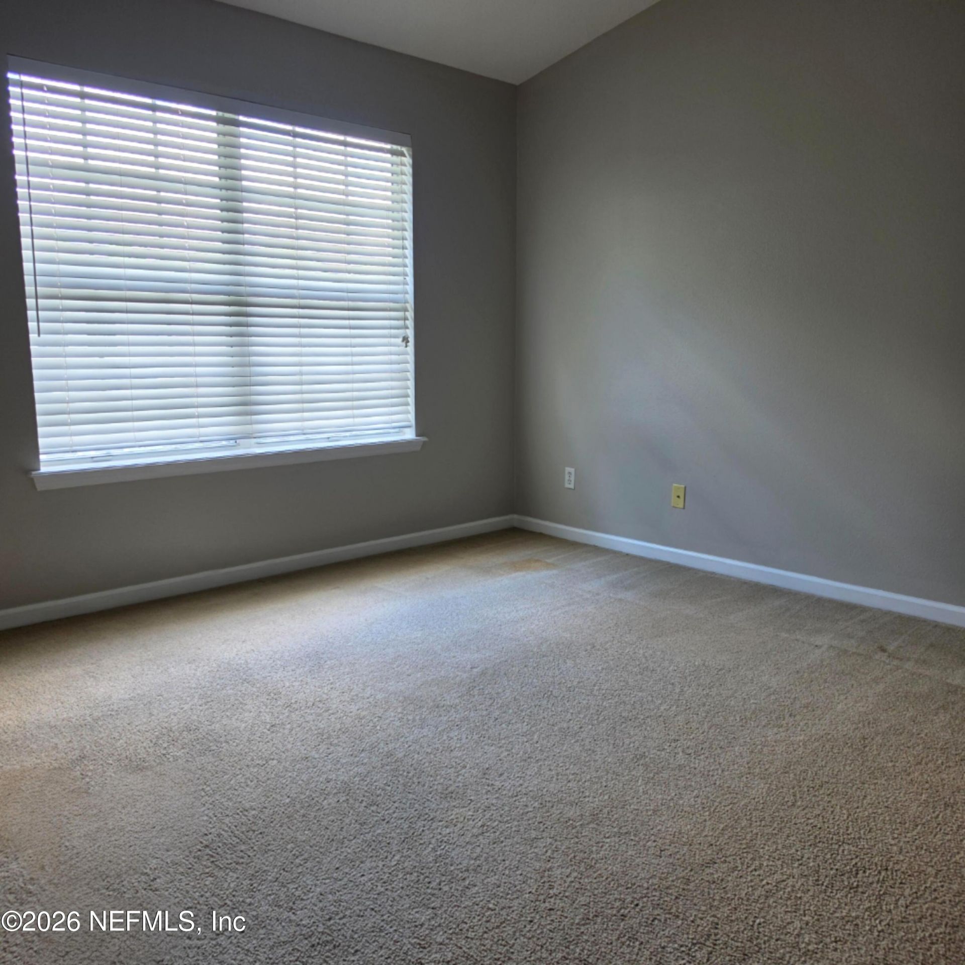 5875 Parkstone Crossing Drive, Jacksonville, FL 32258 Photo