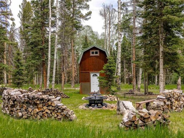 601 Balsam Road, Cimarron, CO 81220