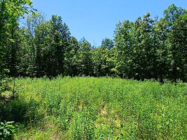 0000000 Easement , Annapolis, MO 63620
