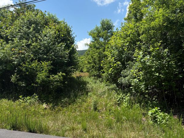 0 Craig Creek RD , Eagle Rock, VA 24085