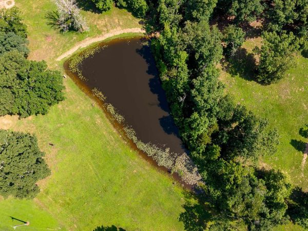 000 Beckett Mountain Road, Mt. Vernon, AR 72111