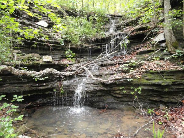 0000 Holly Mtn. Road , Clinton, AR 72031