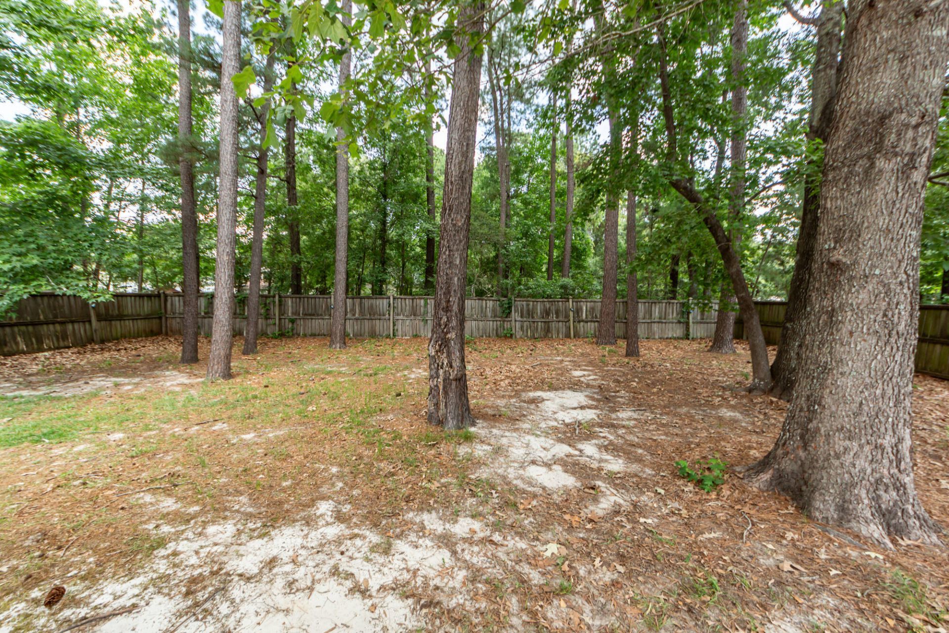 402 Black Horse Road Photo 34