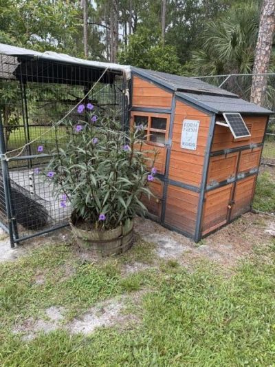 11525 157th Place N, Jupiter, FL 33478 Photo