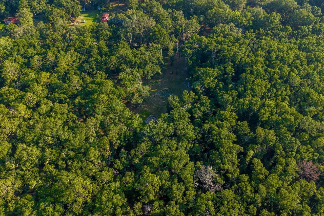 6016 SW 52nd Terrace , Lake Butler, FL 32054 Photo