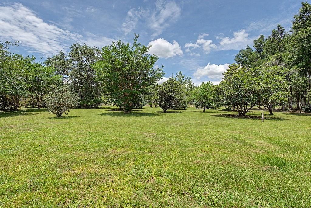 20811 SW 81st Loop, Dunnellon, FL 34431 Photo