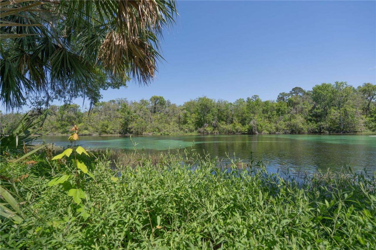20811 SW 81st Loop, Dunnellon, FL 34431 Photo