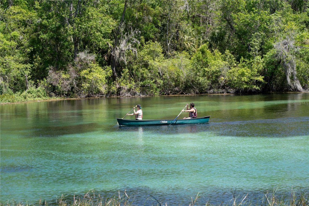 20811 SW 81st Loop, Dunnellon, FL 34431 Photo
