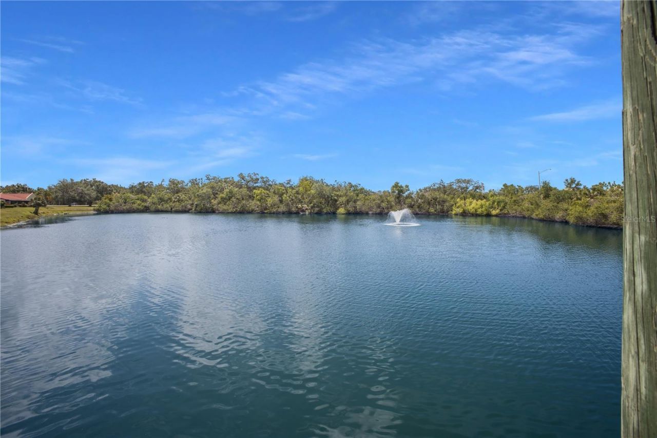 1208 56th Street W, Unit 1208, Bradenton, FL 34209 Photo