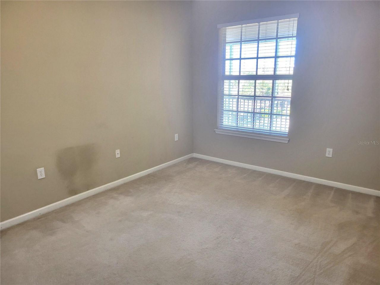7905 N Seminole Boulevard, Unit 3404, Seminole, FL 33772 Photo