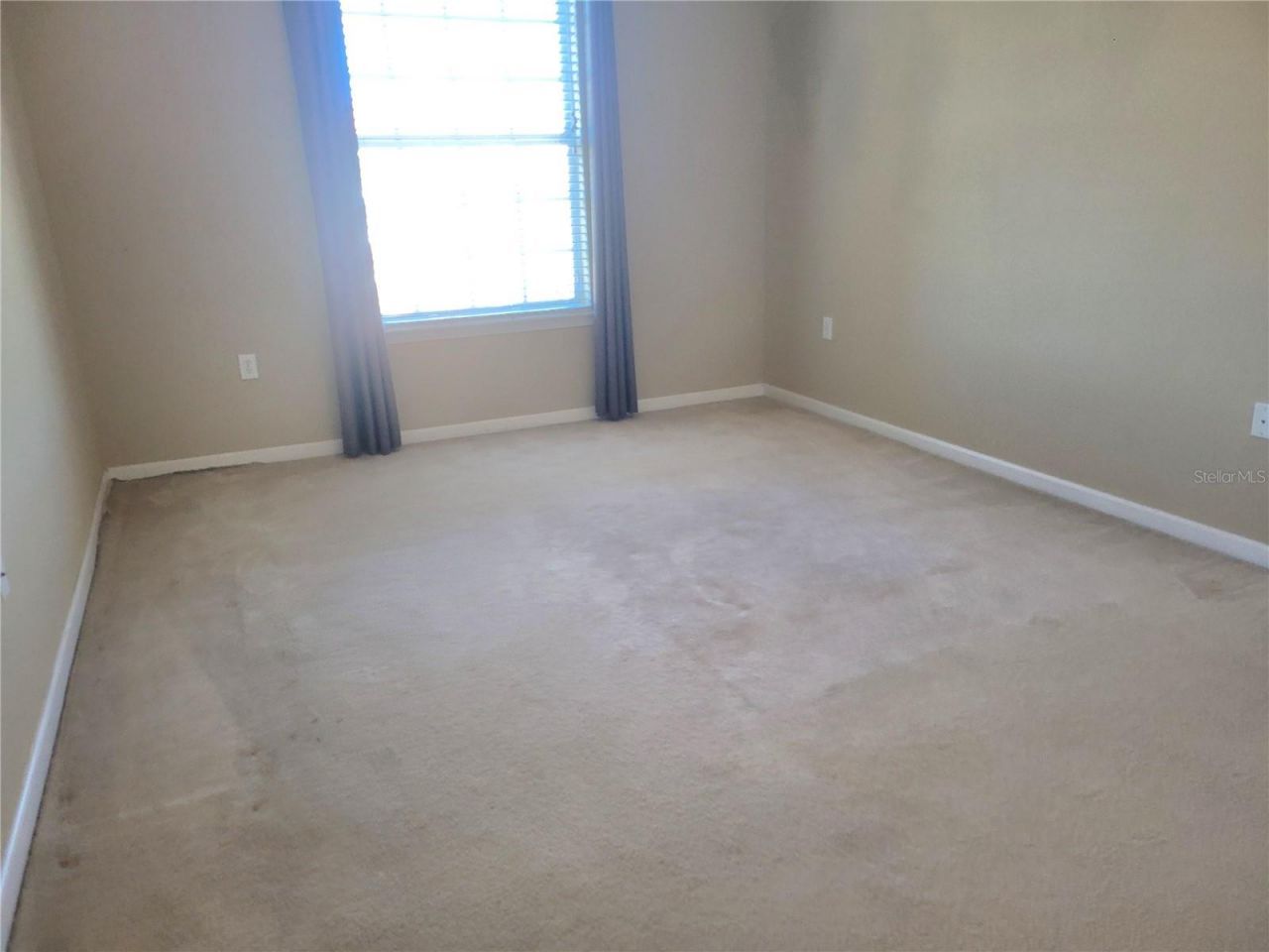 7905 N Seminole Boulevard, Unit 3404, Seminole, FL 33772 Photo