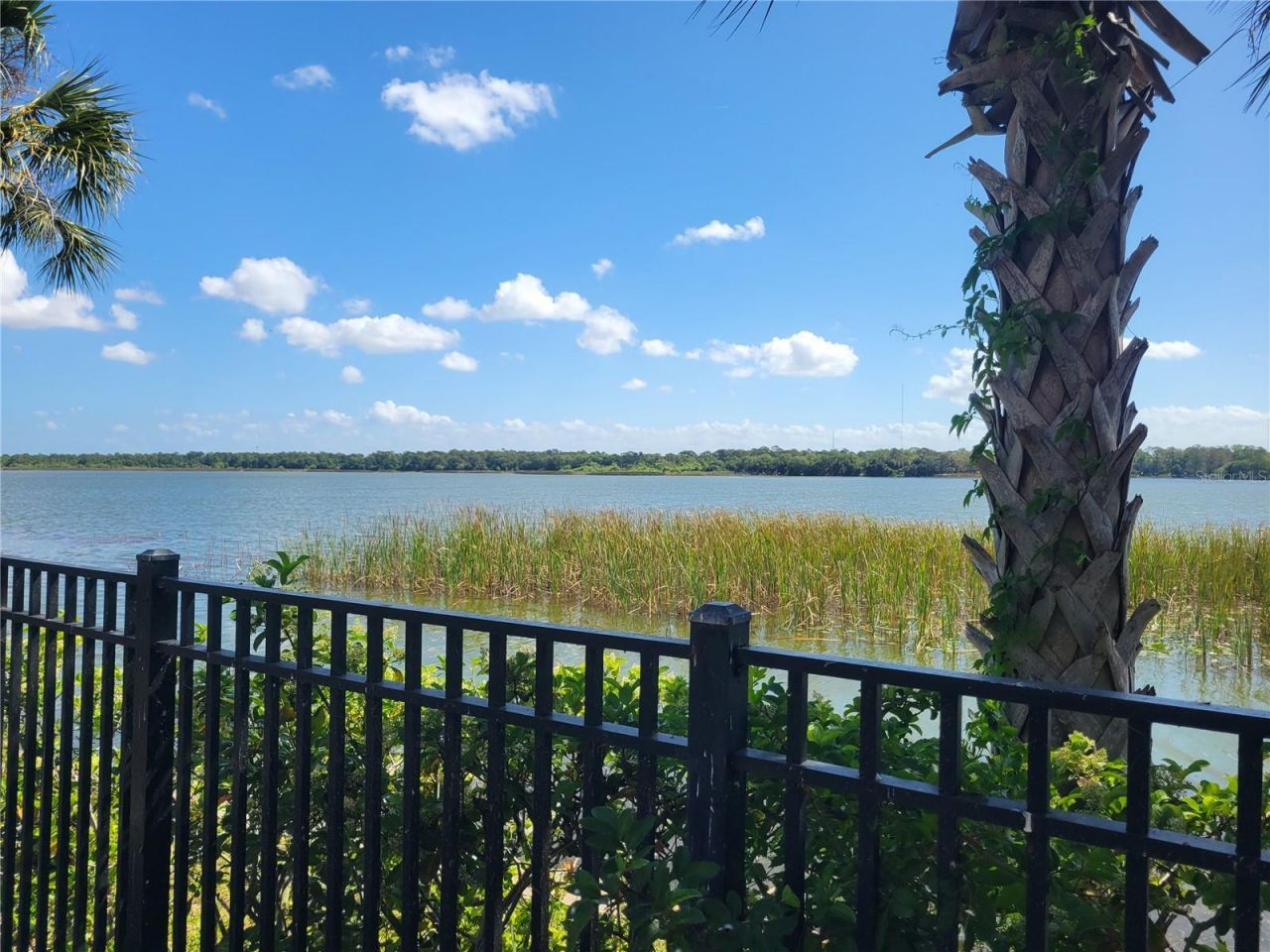 7905 N Seminole Boulevard, Unit 3404, Seminole, FL 33772 Photo