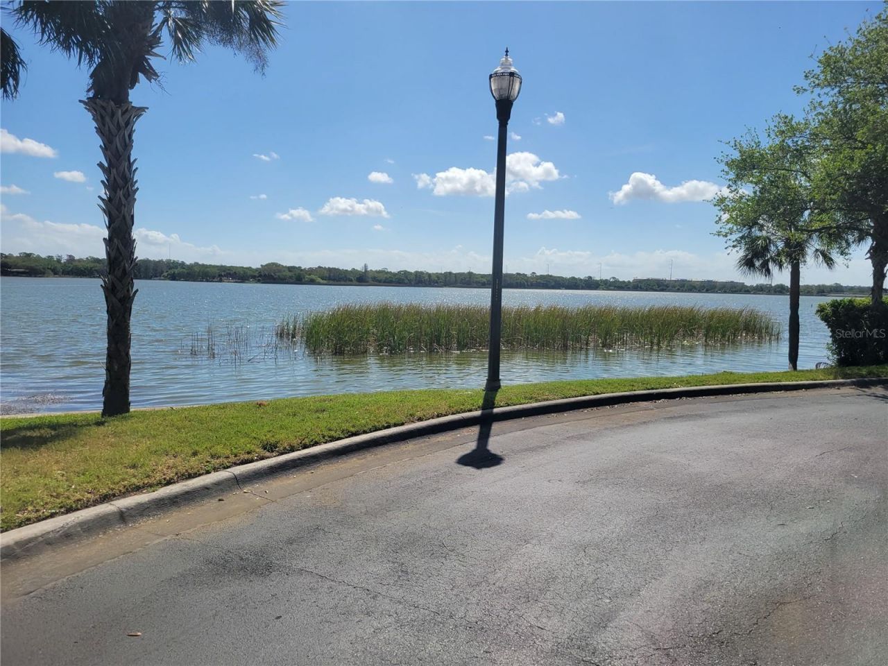 7905 N Seminole Boulevard, Unit 3404, Seminole, FL 33772 Photo